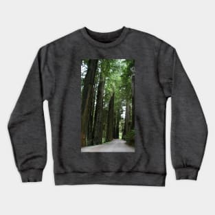 Redwood Trail - Crescent City, CA Crewneck Sweatshirt